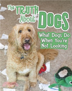 The Truth about Dogs：What Dogs Do When You're Not Looking