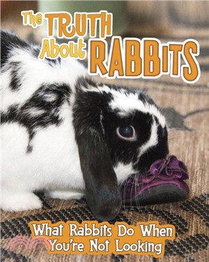 The Truth about Rabbits：What Rabbits Do When You're Not Looking