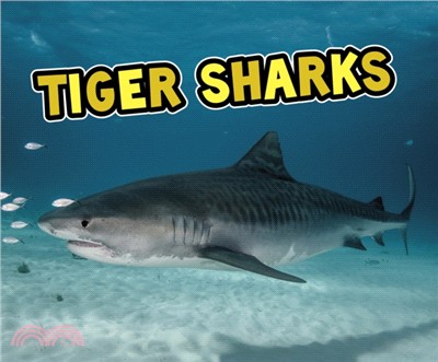 Tiger Sharks