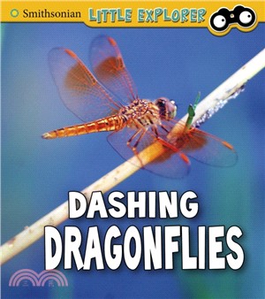 Dashing Dragonflies