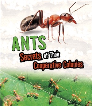 Ants：Secrets of Their Cooperative Colonies