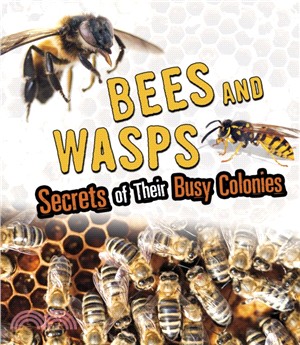 Bees and Wasps：Secrets of Their Busy Colonies