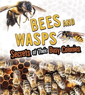 Bees and Wasps：Secrets of Their Busy Colonies