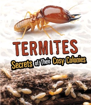 Termites：Secrets of Their Cozy Colonies