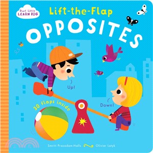 Lift-the-flap opposites /