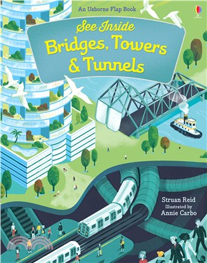 See inside bridges, towers & tunnels :an Usborne flap book /