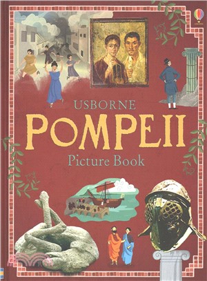 Pompeii Picture Book