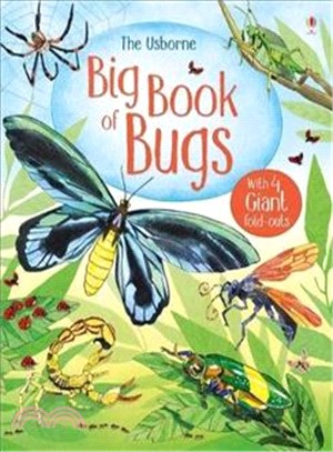 Big Book of Bugs (Big Books)