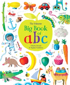 The Usborne big book of ABC ...