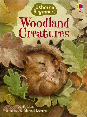 Young Beginners: Woodland Creatures