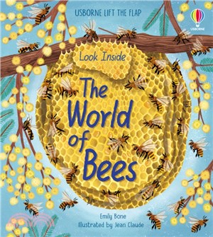 Look inside the world of bees /