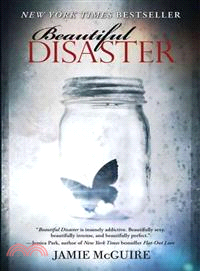 Beautiful disaster :a novel ...
