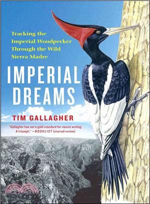 Imperial Dreams ― Tracking the Imperial Woodpecker Through the Wild