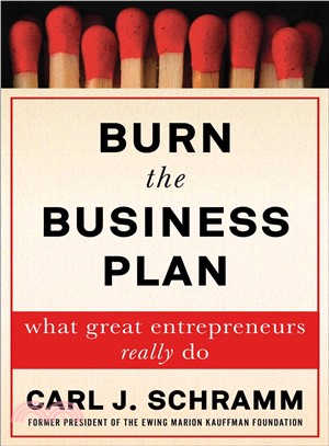 Burn the business plan :what...