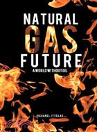 Natural Gas Future ─ A World Without Oil