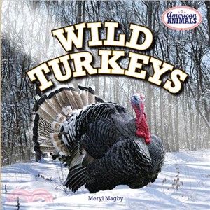 Wild Turkeys