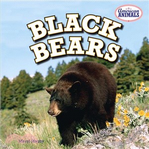 Black Bears