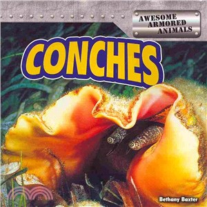 Conches