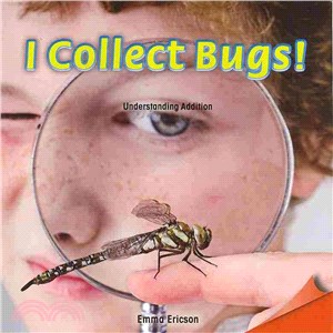 I Collect Bugs! ― Understanding Addition