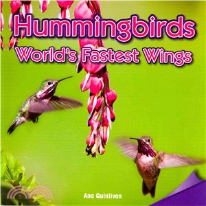 Hummingbirds ─ World's Fastest Wings