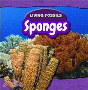 Sponges