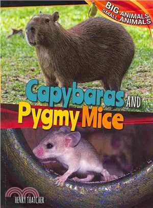 Capybaras and Pygmy Mice