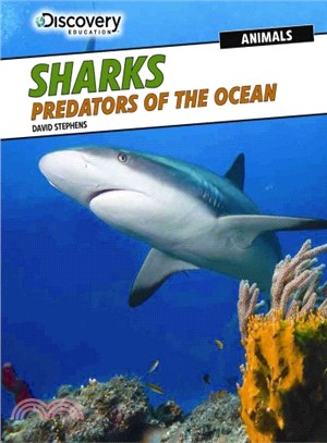 Sharks ― Predators of the Ocean