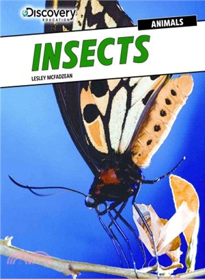 Insects