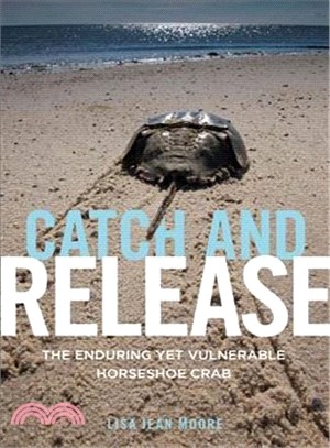 Catch and Release ─ The Enduring Yet Vulnerable Horseshoe Crab