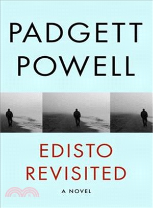 Edisto Revisited ― A Novel