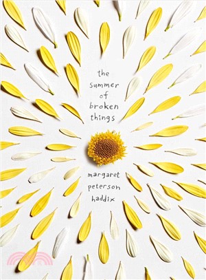 The summer of broken things /