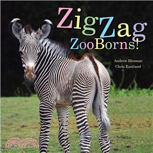 Zigzag Zooborns! ─ Zoo Baby Colors and Patterns