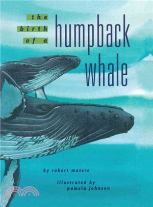 The Birth of a Humpback Whale