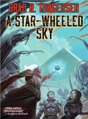 A star-wheeled sky /