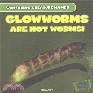 Glowworms Are Not Worms!