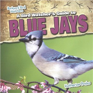 A Bird Watcher's Guide to Blue Jays