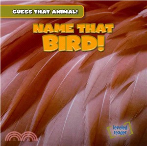 Name That Bird!