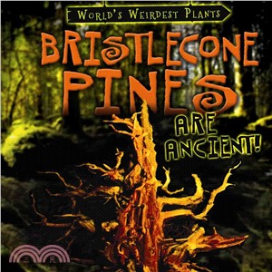 Bristlecone Pines Are Ancient!