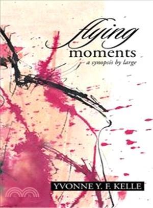 Flying Moments ─ A Synopsis by Large