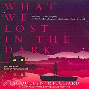 What We Lost in the Dark 