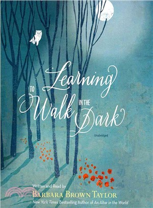 Learning to Walk in the Dark