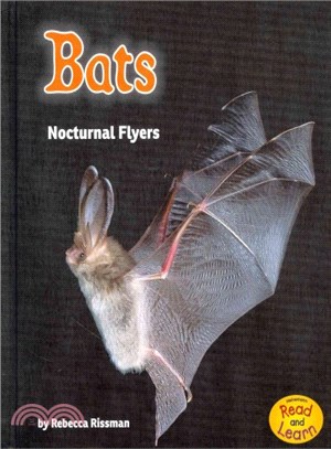 Bats ─ Nocturnal Flyers