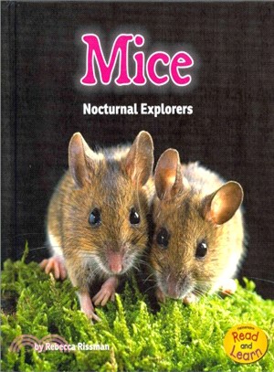Mice ─ Nocturnal Explorers