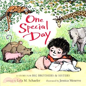 One special day :a story for big brothers & sisters /