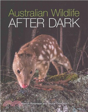 Australian Wildlife After Dark