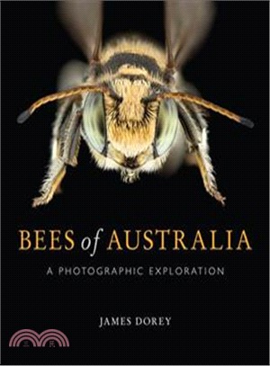 Bees of Australia ― A Photographic Exploration