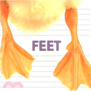 Feet