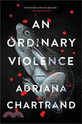 An Ordinary Violence