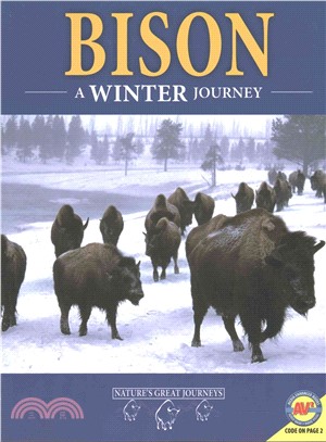Bison ─ A Winter Journey