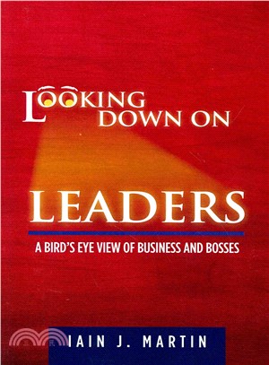 Looking Down on Leaders ― A Bird's Eye View of Business and Bosses